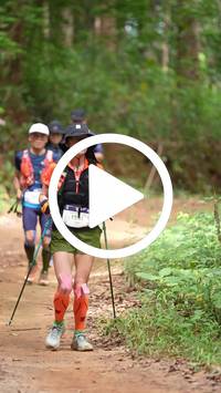 BIB:  <button type="button" onclick="openModal(26813846)" class="btn btn-primary btn-sm float-right" data-toggle="modal" data-target=".modal-high-quality">
                <i class="fa fa-download"></i> Download
                </button>